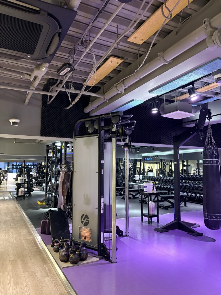 Cable equipment, dumbbells and benches in the free-weight area